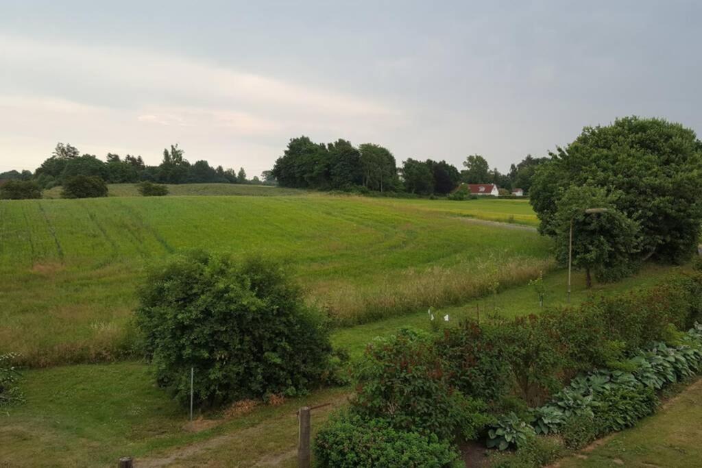 Elleholm Apartman Odense Kültér fotó